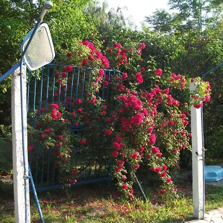 Nemesbuk 1 Holiday home